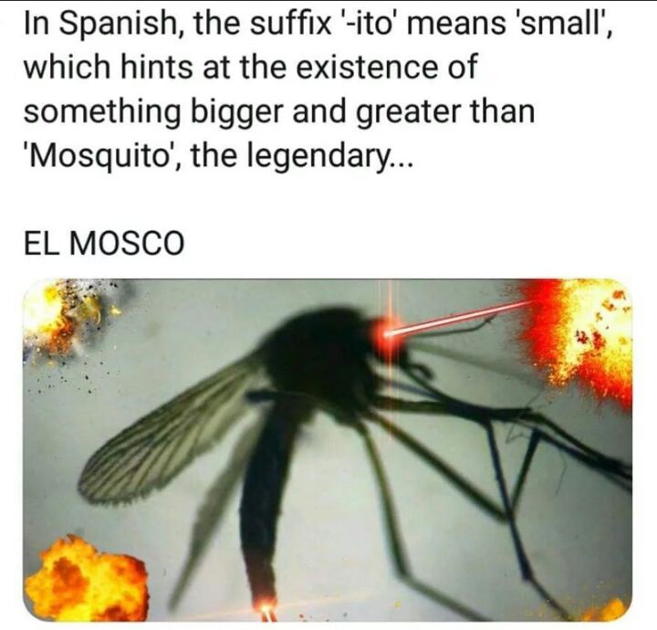 In Spanish the suffix ito means small which hints at the existence of something bigger and greater than Mosquito the legendary EL MOSCO