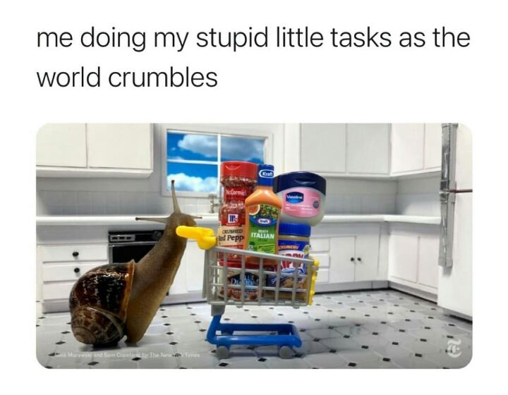 me doing my stupid little tasks as the world crumbles
