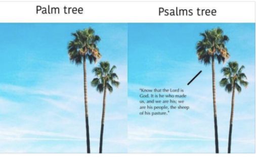 Palm tree Psalms tree