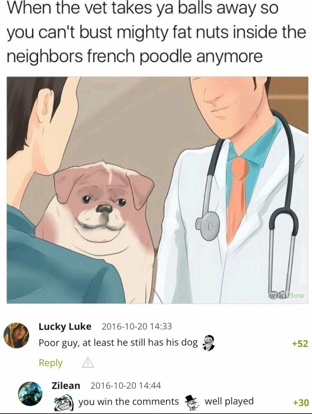 When the vet takes ya balls away so you cant bust mighty fat nuts inside the neighbors french poodle anymore Lucky Luke 2016 10 20 1433 3 Poor guy at least he still has his dog 52 Reply Zilean 2016 10 20 1444 you win the comments well played 30