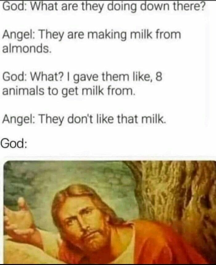 God What are they doing down there Angel They are making milk from almonds God What gave them like 8 animals to get milk from Angel They dont like that milk God