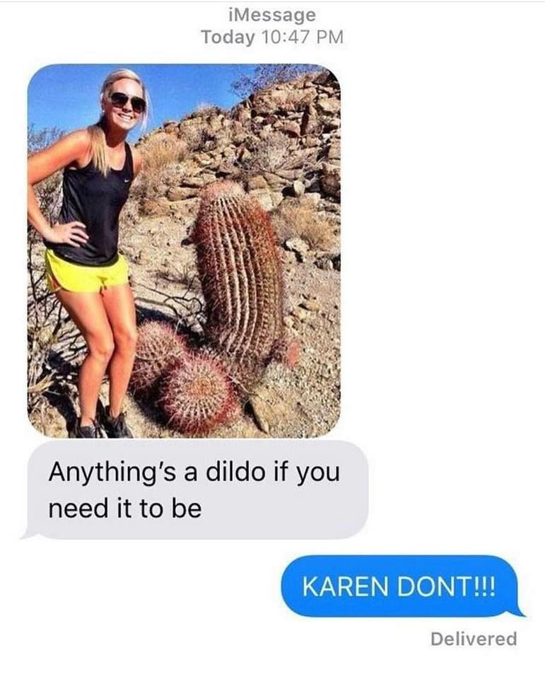 iMessage Today 1047 PM i Anythings a dildo if you need it to be KAREN DONT Delivered