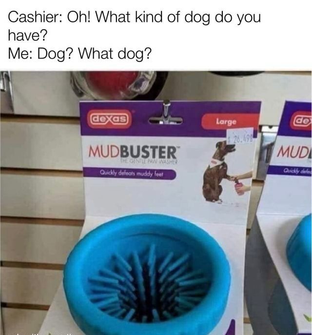 Cashier Oh What kind of dog do you have Me Dog What dog