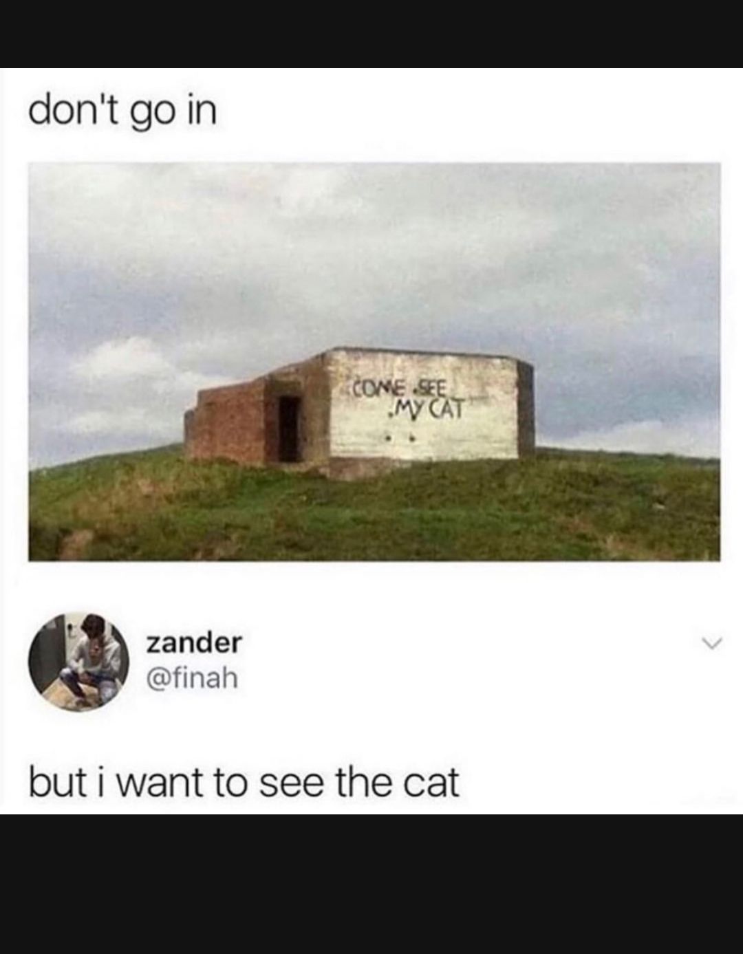 dontgoin zander finah but i want to see the cat