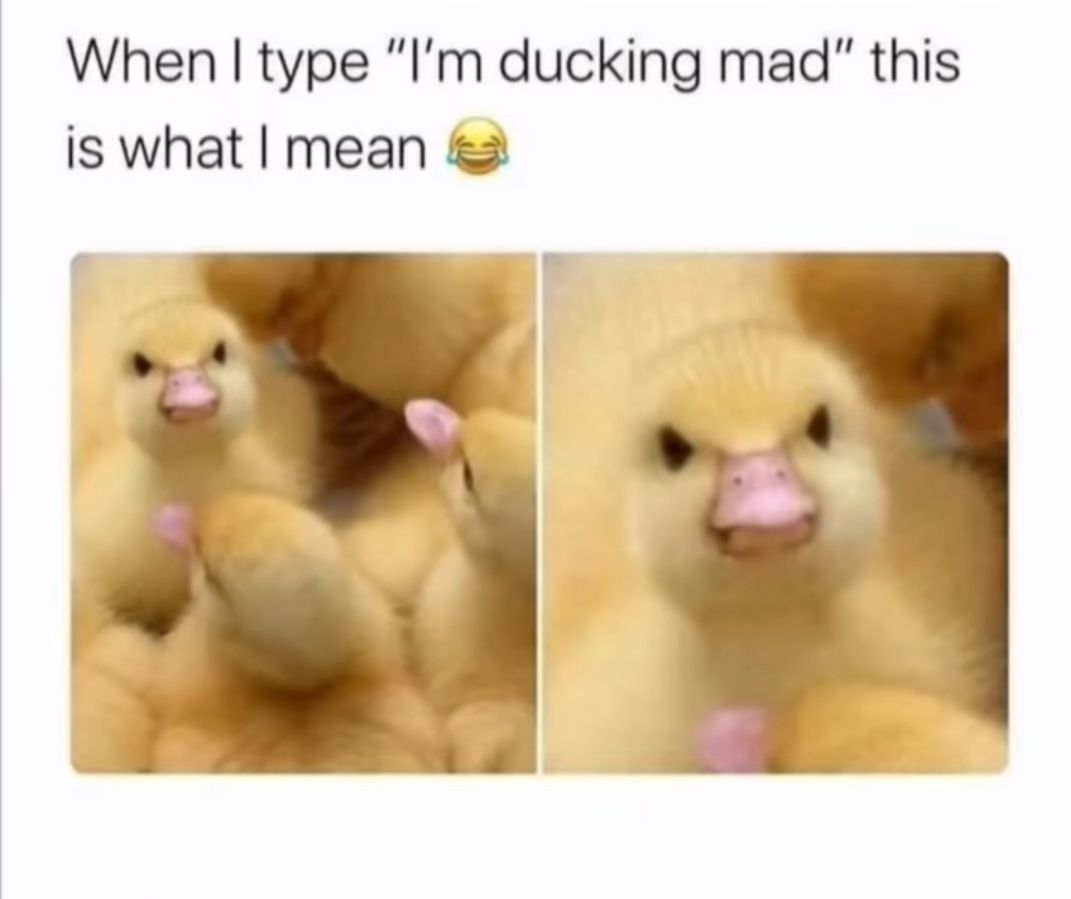 When type Im ducking mad this is what mean