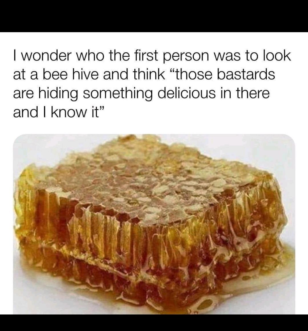 wonder who the first person was to look at a bee hive and think those bastards are hiding something delicious in there and know it