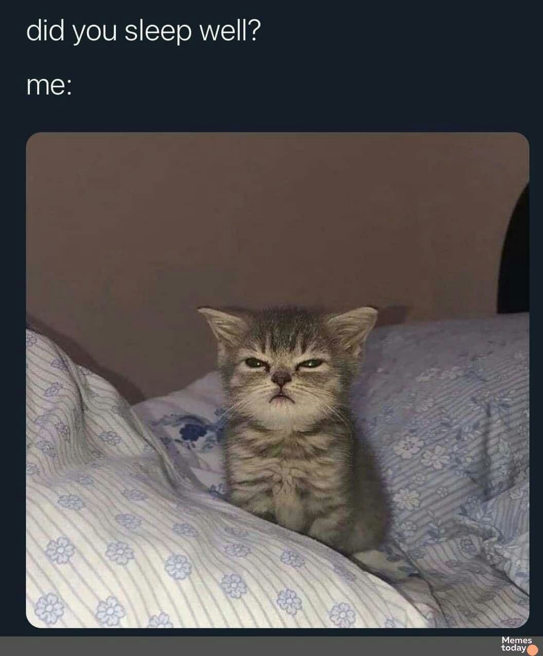 ofe AVOIVRSITTo RN e me Memes today