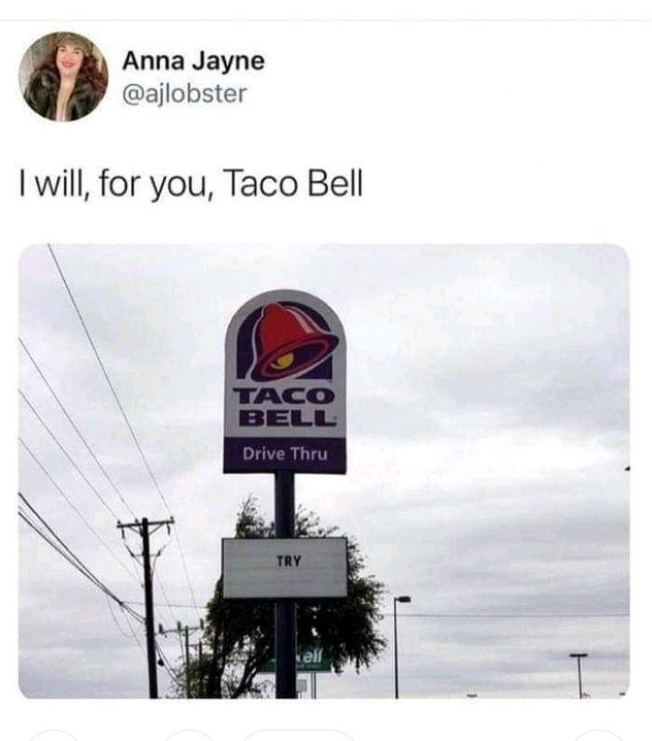 Anna Jayne ajlobster will for you Taco Bell