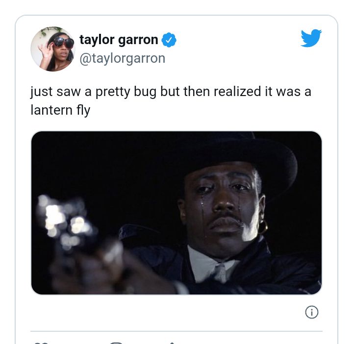 taylor garron taylorgarron just saw a pretty bug but then realized it was a lantern fly