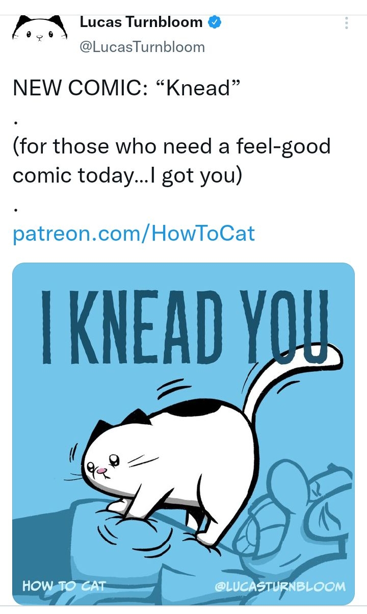 M Lucas Turnbloom L LucasTurnbloom NEW COMIC Knead for those who need a feel good comic todayI got you patreoncomHowToCat