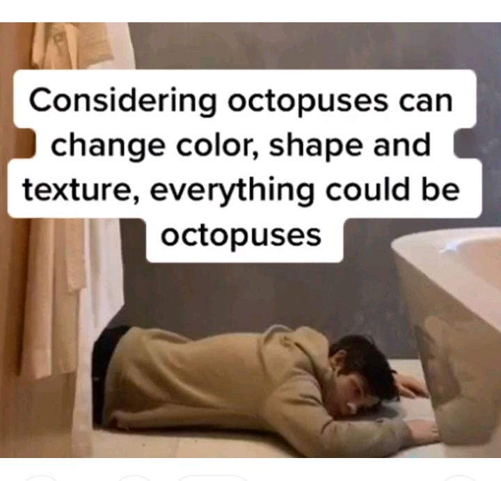 Considering octopuses can change color shape and texture everything could be octopuses