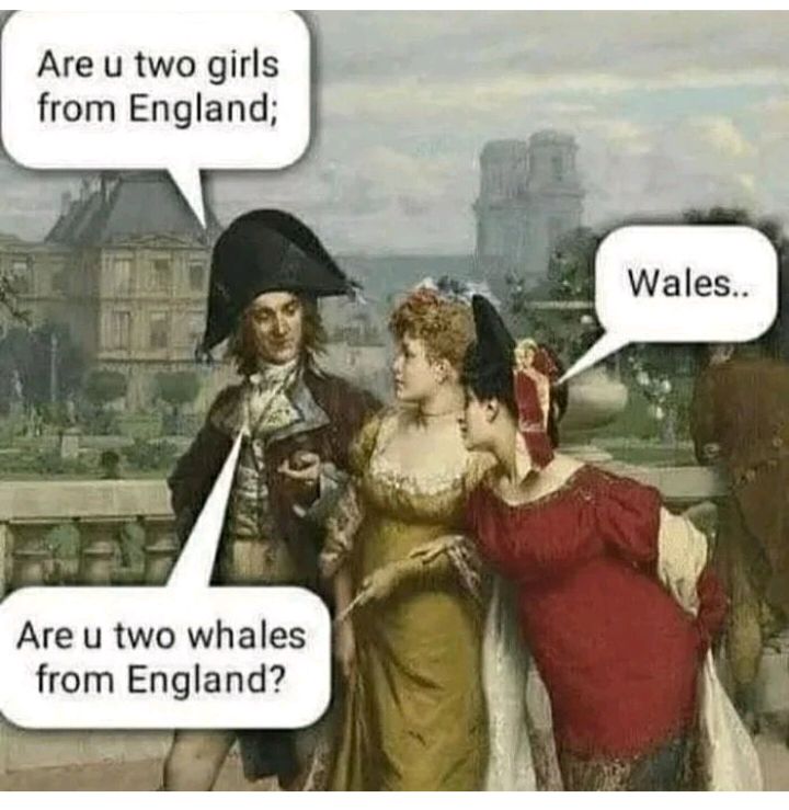 Are u two girls from England Are u two whales from England S e