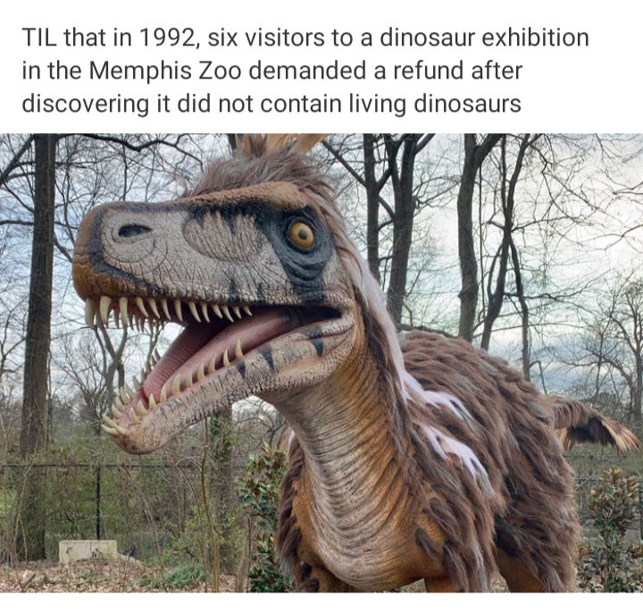 TIL that in 1992 six visitors to a dinosaur exhibition in the Memphis Zoo demanded a refund after discovering it did not contain living dinosaurs W