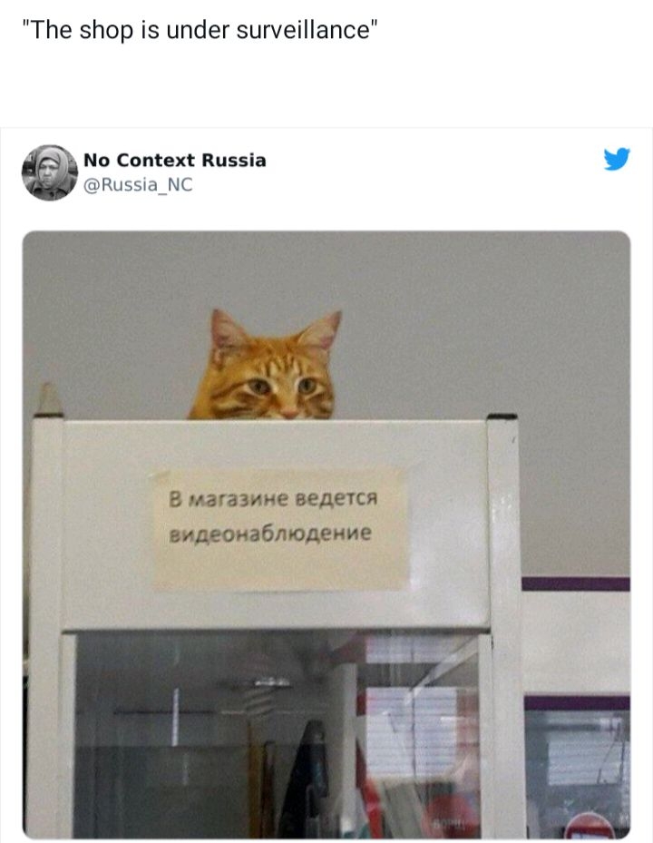 The shop is under surveillance No Context Russia Russia_NC