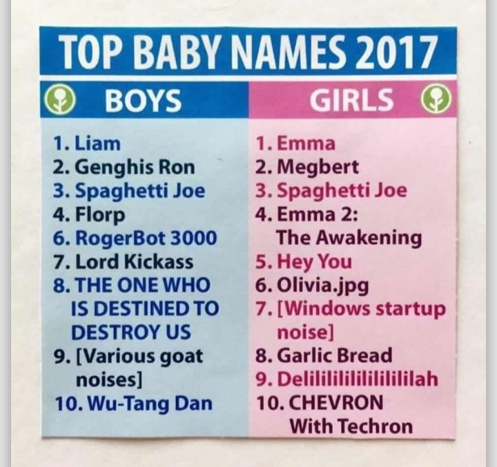 TOP BABY NAMES 2017 BOYS LIENE 1 Liam 2 Genghis Ron 3 Spaghetti Joe 4 Florp 6 RogerBot 3000 7 Lord Kickass 8 THE ONE WHO IS DESTINED TO DESTROY US 9 Various goat noises 10 Wu Tang Dan 1Emma 2 Megbert 3 Spaghetti Joe 4Emma 2 The Awakening 5 Hey You 6 Oliviajpg 7Windows startup noise 8 Garlic Bread 9 Delilililililililililah 10 CHEVRON With Techron w