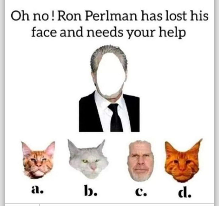 Oh no Ron Perlman has lost his face and needs your help