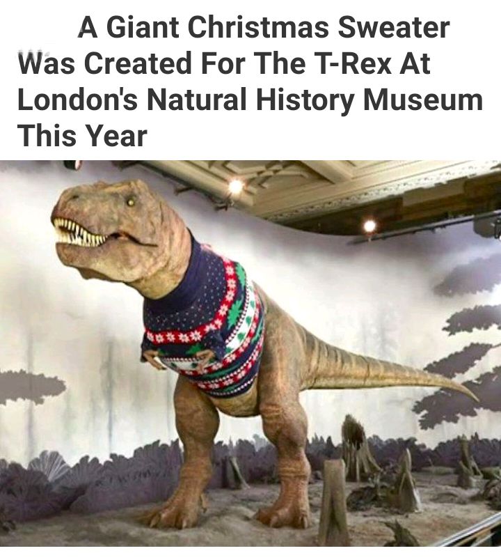 A Giant Christmas Sweater Was Created For The T Rex At Londons Natural History Museum This Year