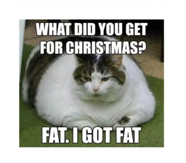 WHAT DID YOU GET FOR CHRISTMAS R FAT I GOT FAT