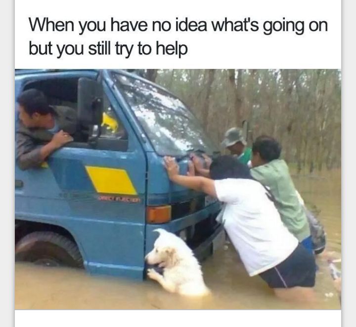 When you have no idea whats going on but you still try to help