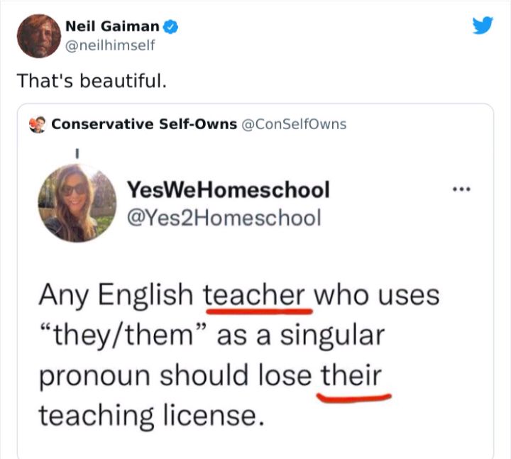 Neil Gaiman neilhimself Thats beautiful Conservative Self Owns ConSelfOwns I YesWeHomeschool Yes2Homeschool Any English teacher who uses theythem as a singular pronoun should lose their teaching license