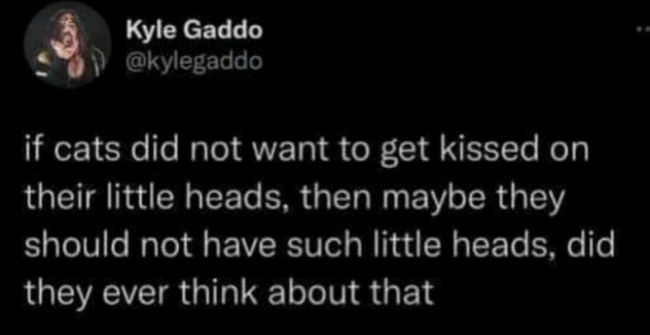 g Kyle Gaddo 89 kylegaddo if cats did not want to get kissed on their little heads then maybe they should not have such little heads did QIR G N S F1