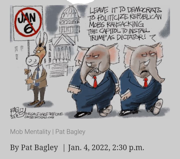 T Lga DEWRNE RLITCIZE BLVJN W T aonv Au e A DICRPRE 7 Mob Mentality Pat Bagley By Pat Bagley Jan 4 2022 230 pm