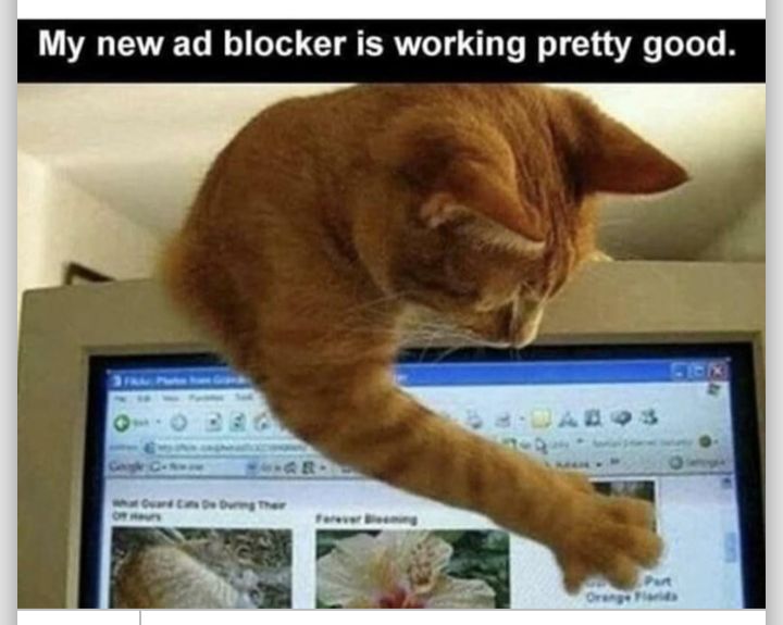 My new ad blocker is working pretty good