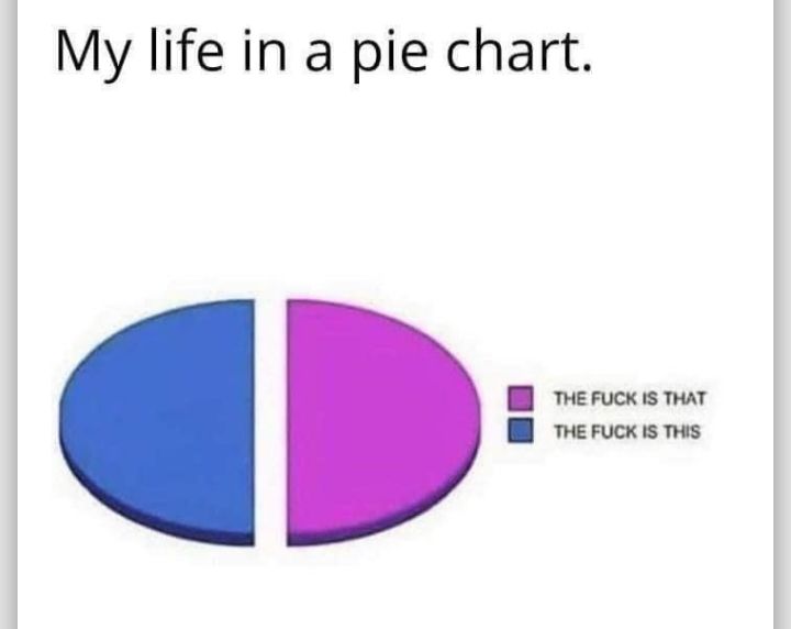 My life in a pie chart W e FuCK IS THAT W meruckis TS