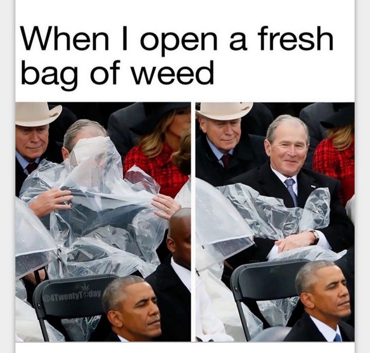 When open a fresh bag of weed