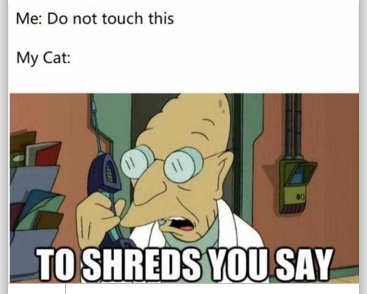 Me Do not touch this My Cat