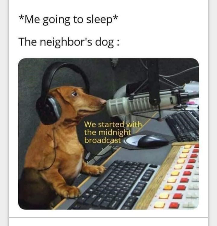 Me going to sleep The neighbors dog the midnight IRELIEERT