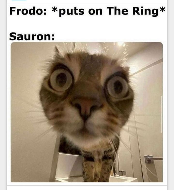 Frodo puts on The Ring Sauron