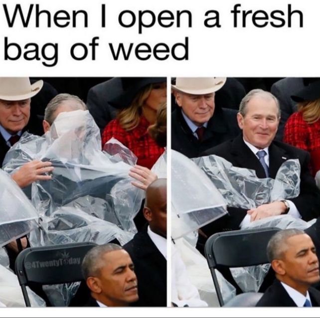 When open a fresh bag of weed