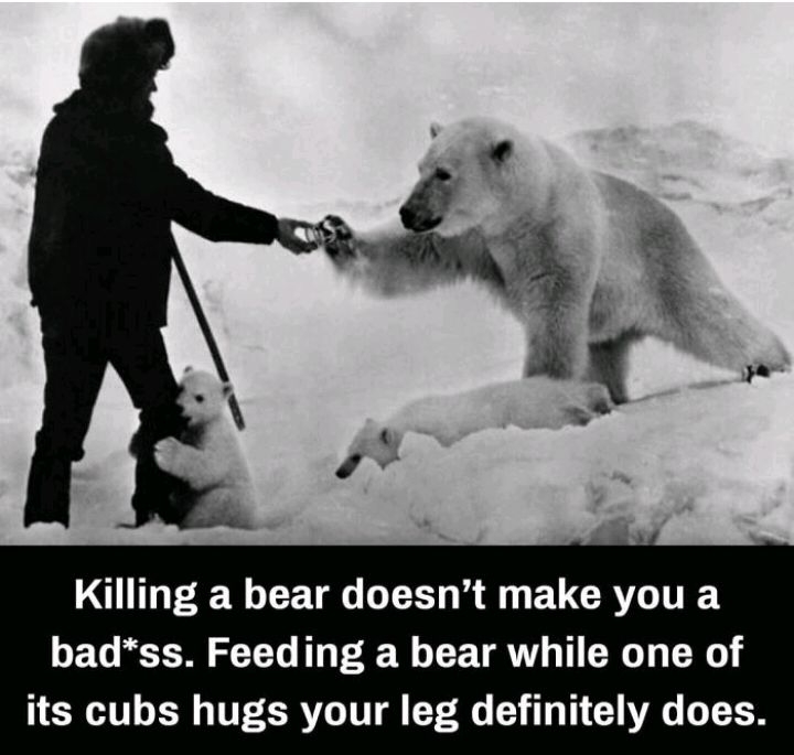 LA PR R R L EUCRYGITEY badss Feeding a bear while one of its cubs hugs your leg definitely does