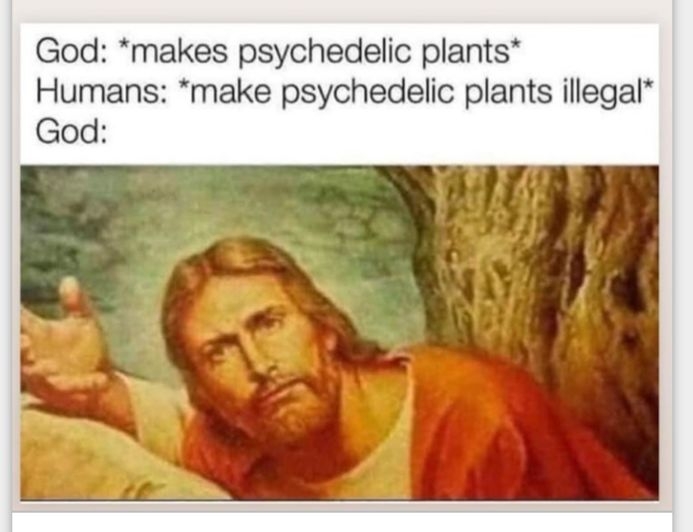 God makes psychedelic plants Humans make psychedelic plants illegal God