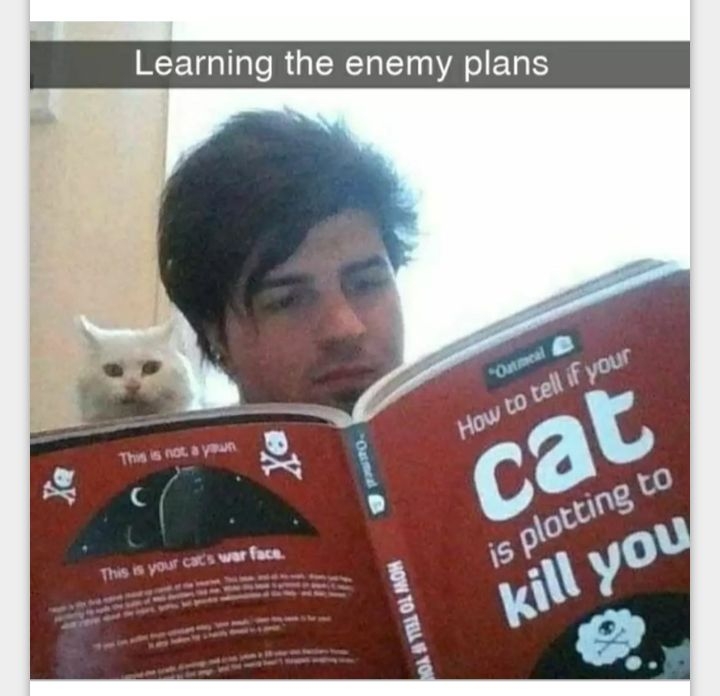 Learning the enemy plans