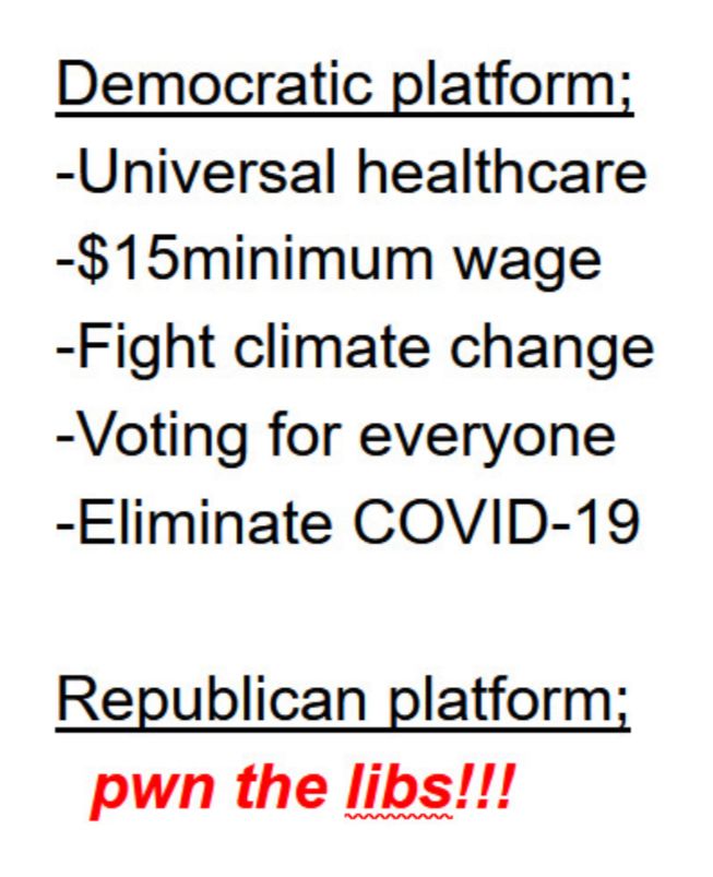 Democratic platform Universal healthcare 15minimum wage Fight climate change Voting for everyone Eliminate COVID 19 Republican platform pwn the libs