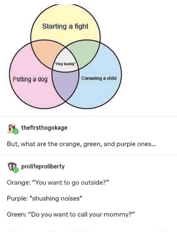 Slarting a fight Ey thefirsthogokage But what are the orange green and purple ones prolifeproliberty Orange You want to go outside Purple shushing noises Green Do you want to call your mommy