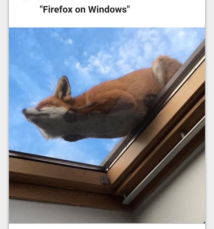 Firefox on Windows