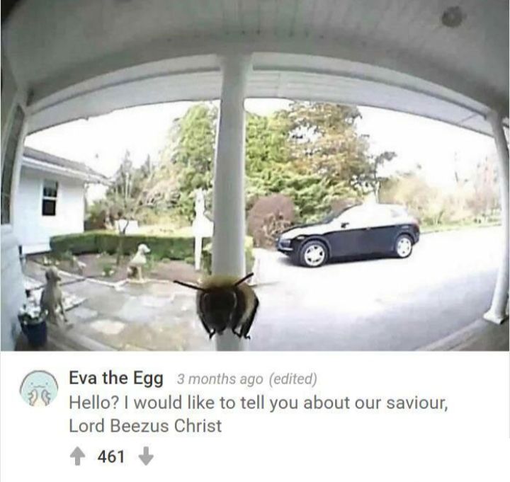 Eva the Egg 3 months ago edited Hello would like to tell you about our saviour Lord Beezus Christ 4 461