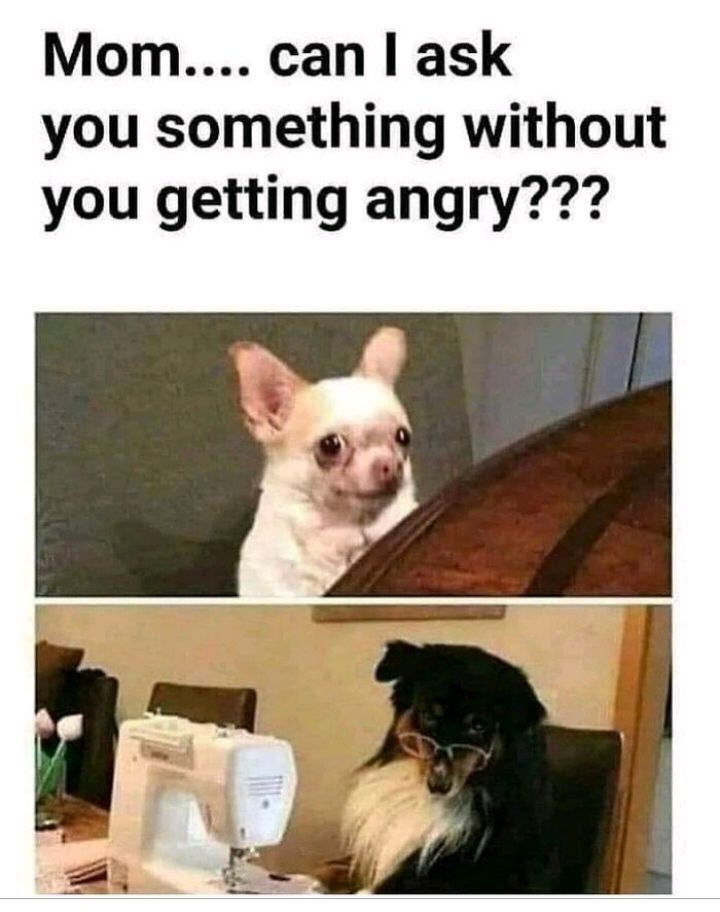 Mom can ask you something without you getting angry