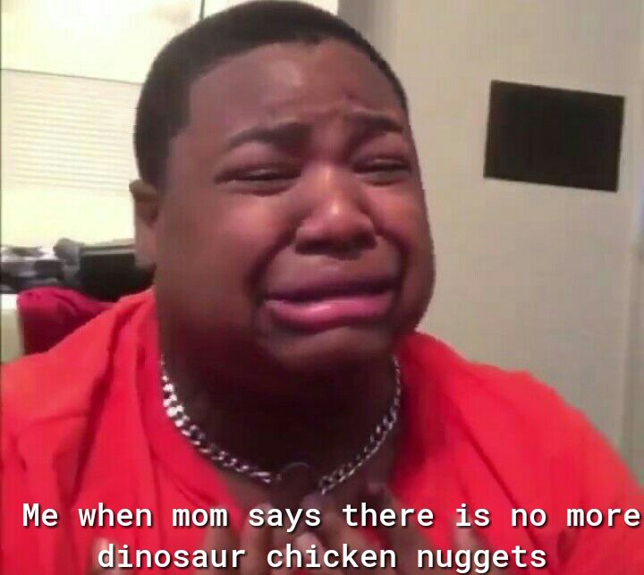 Me when mom saysthere is no more dinosaur chicken nuggets