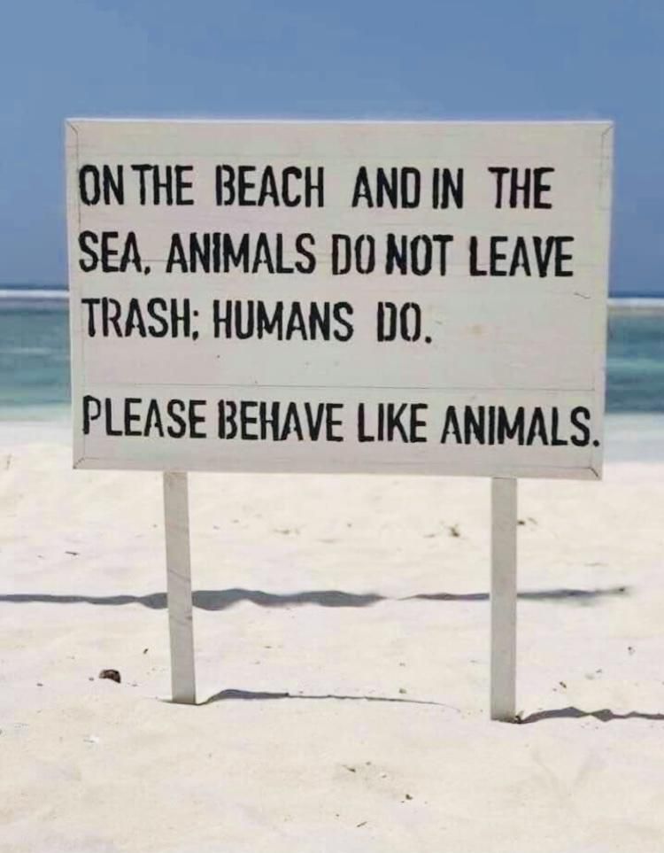 ONTHE BEACH ANDIN THE SEA ANIMALS DONOT LEAVE 55 TRASH HUMANS DO PLEASE BEHAVE LIKE ANIMALS