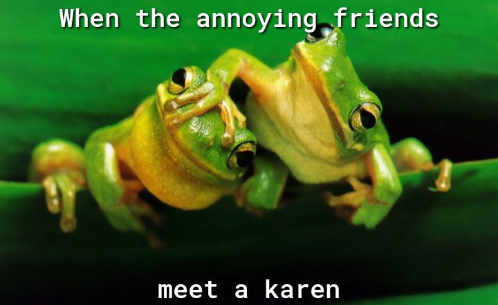 meet a karen