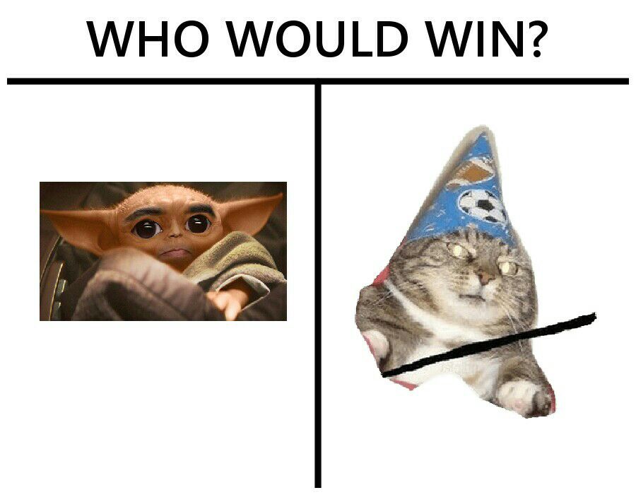 WHO WOULD WIN