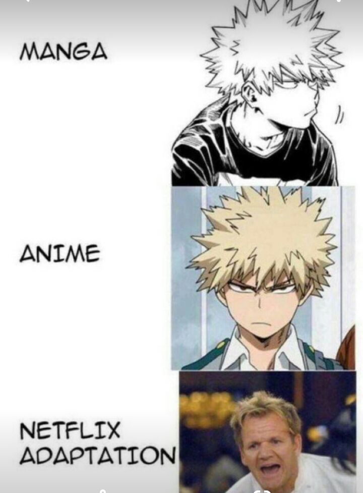 MANGA ANIME NETFLIX ADAPTATION