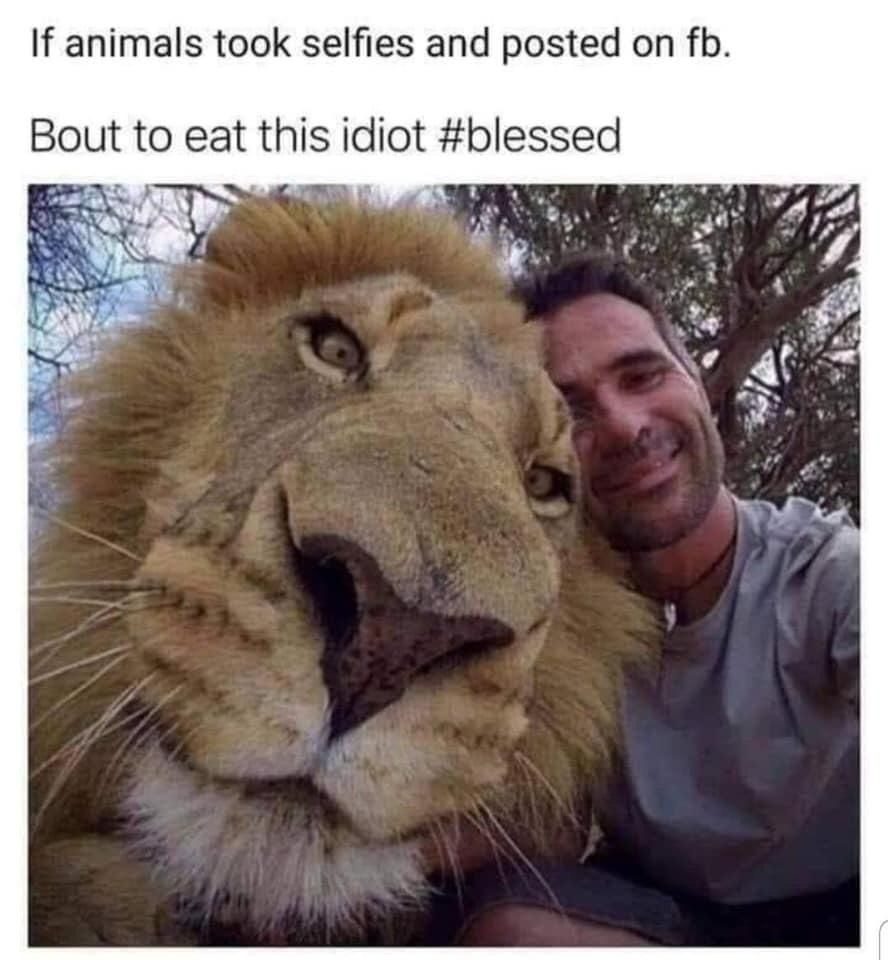 If animals took selfies and posted on fb Bout to eat thls dot blessed