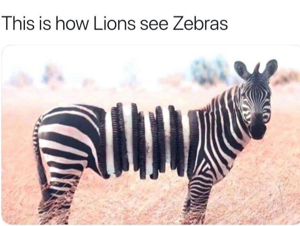 This is how Lions see Zebras g