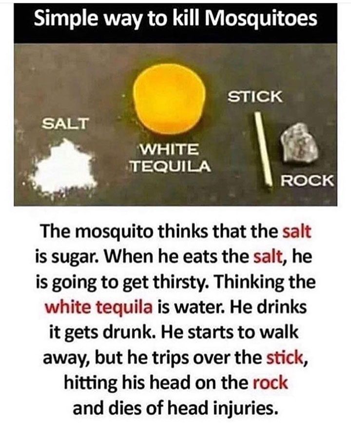 Simple way to kill Mosquitoes WHITE i 8 BN The mosquito thinks that the salt is sugar When he eats the salt he is going to get thirsty Thinking the white tequila is water He drinks it gets drunk He starts to walk away but he trips over the stick hitting his head on the rock and dies of head injuries