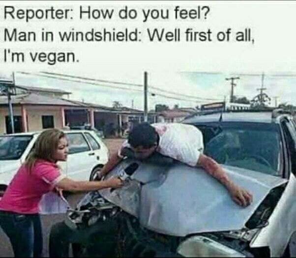 Reporter How do you feel Man in windshield Well first of all Im vegan